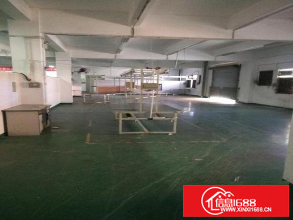 横岗大康1000平米原房东整层厂房出租。