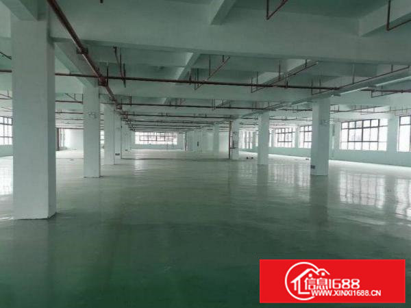 长巷原房东标准厂房出租1000平方现成五金喷油抛环评