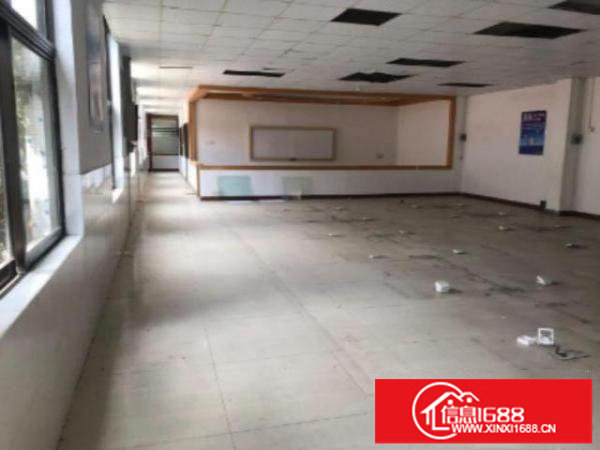 坑梓新出红本独院厂房带装修10000平方出租可单层分租