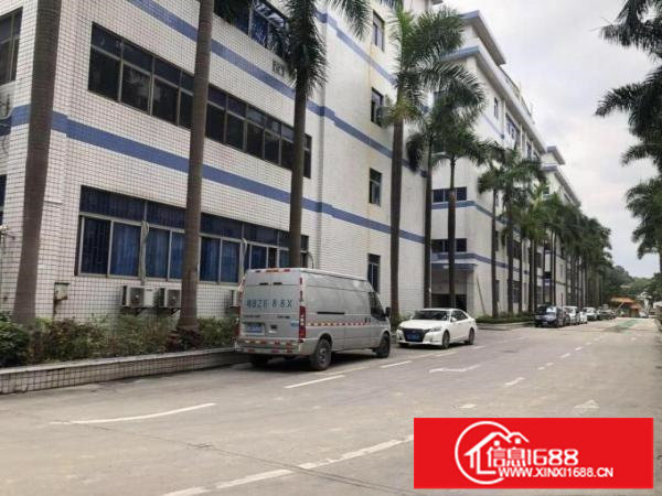 丹竹头新出厂房仓库带红本100平起分租