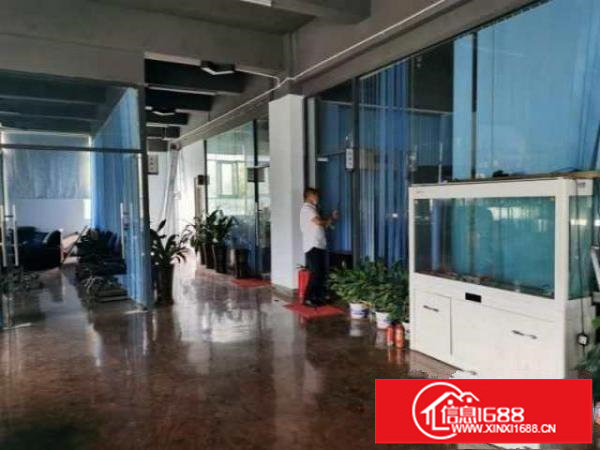 大浪布龙路边石观工业区实际面积500㎡精装修厂房25元出租