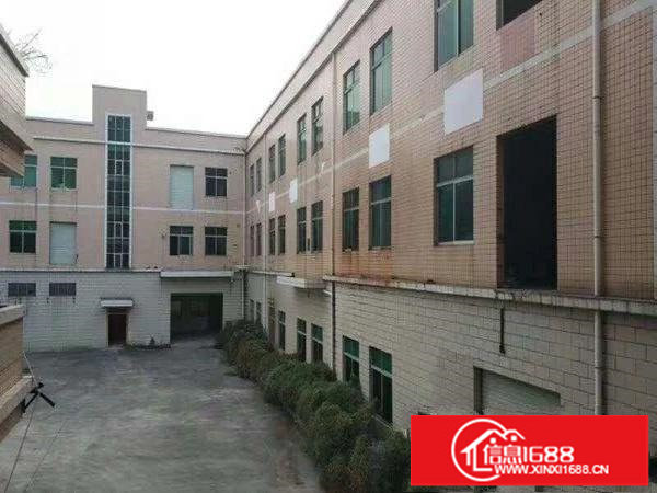 碧岭新出一楼二楼各1000平米厂房出租可分租