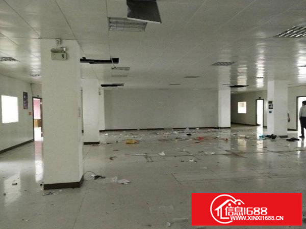 阳光工业区精装修大量厂房长裤出租300分