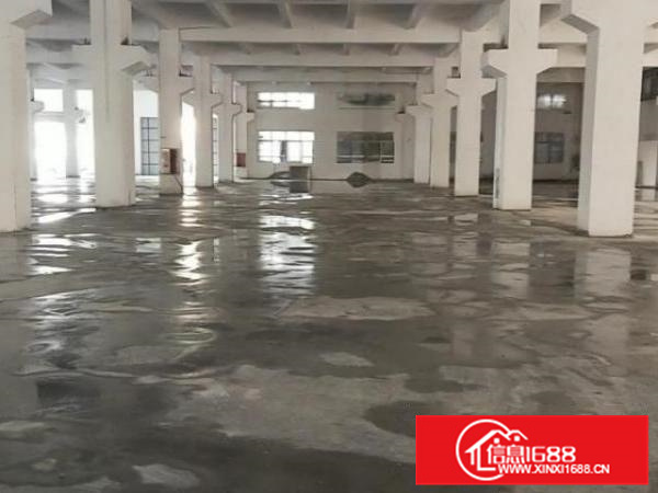 杏坛科技路独院标准厂房65800方首层7米大小分租