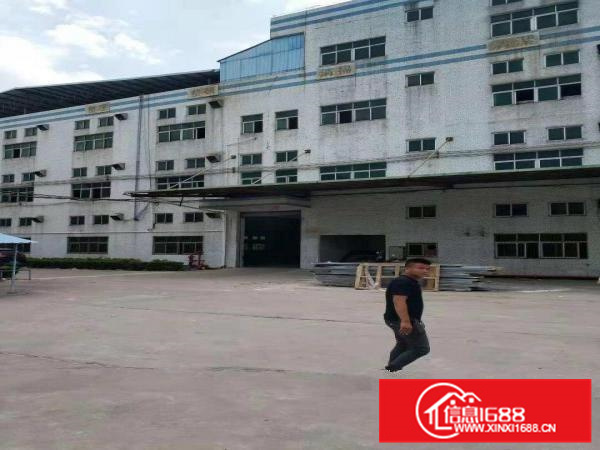 泰美工业园19900平米证件齐全配电2000KVA可分租