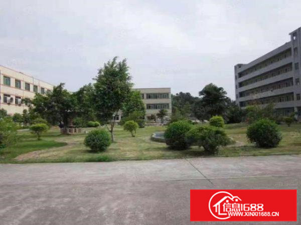 常平中心区域独门独院国有双证齐全8000平米学校出租