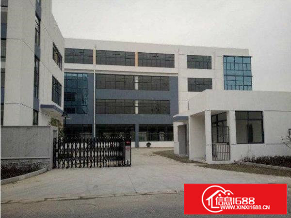 横沥村头标准厂房楼上厂房800平原房东火热招租