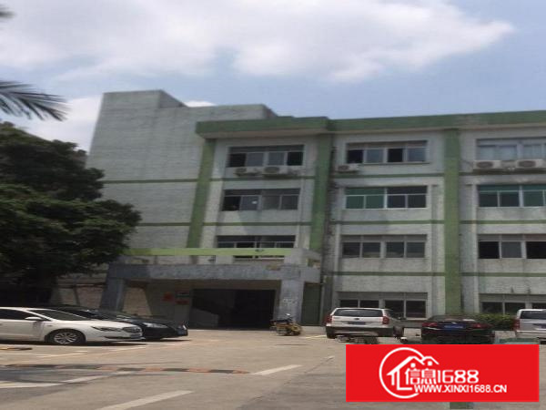 横岗地铁口.小户型110平米，精装修出租