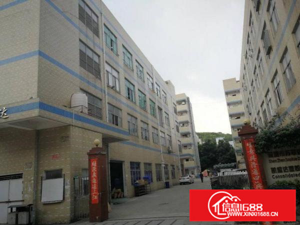 凤岗雁田二楼带装修厂房1500平方大小分租