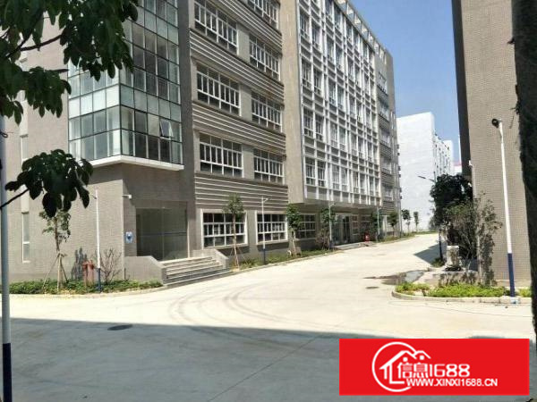 惠阳秋长原房东厂房55000平方出租