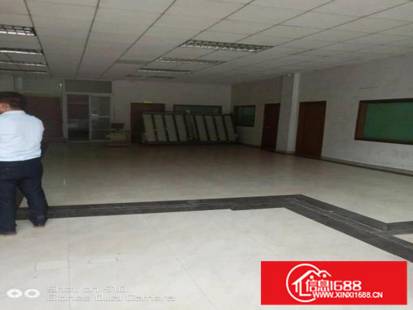 潼侨原房东新建砖墙到顶独院8800平8米钢构