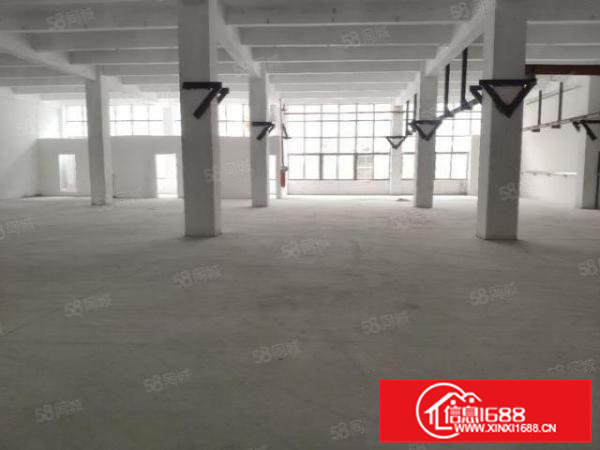 虎门南栅新出标准厂房4900平，全新装修，环境好，空地大，