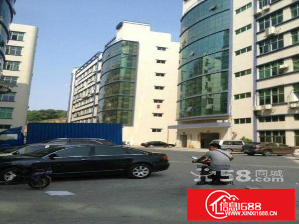 坂田利金城新出带装修厂房2000平低价转让无转让