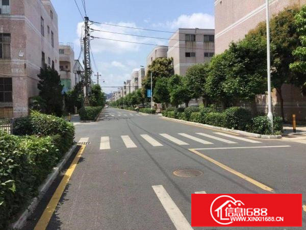 出租坪山新区独门独院厂房