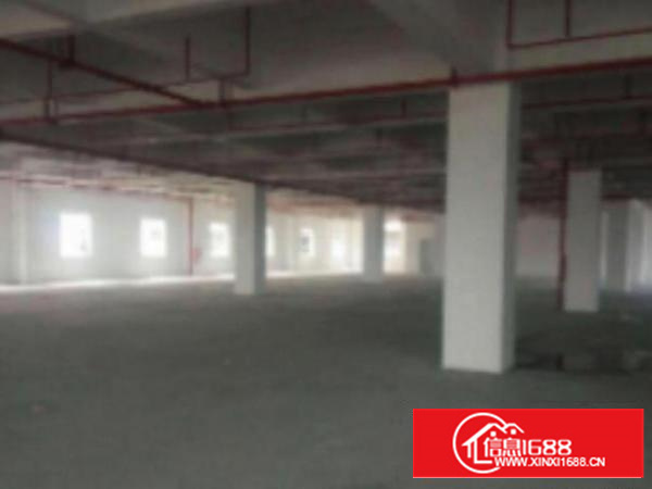 万江1500平米一楼标准厂房出租水电齐全交便利，易招工