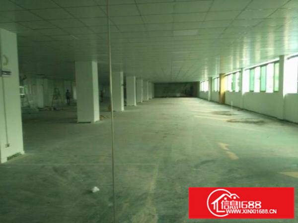 大浪英泰业主厂房2层出租(一二楼3000平方)