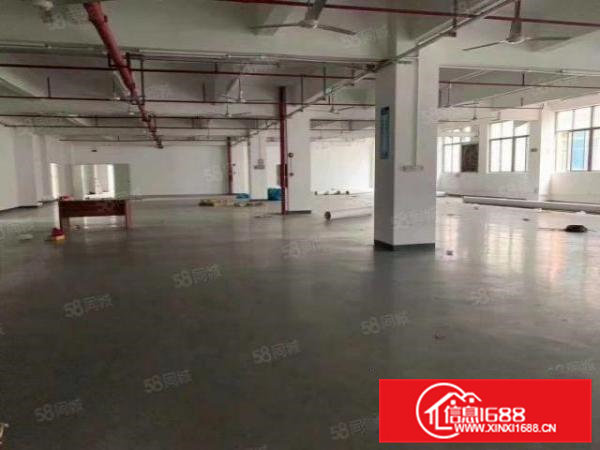 独院厂房一楼7米带牛角可办环评办公室精装修总面积11600平