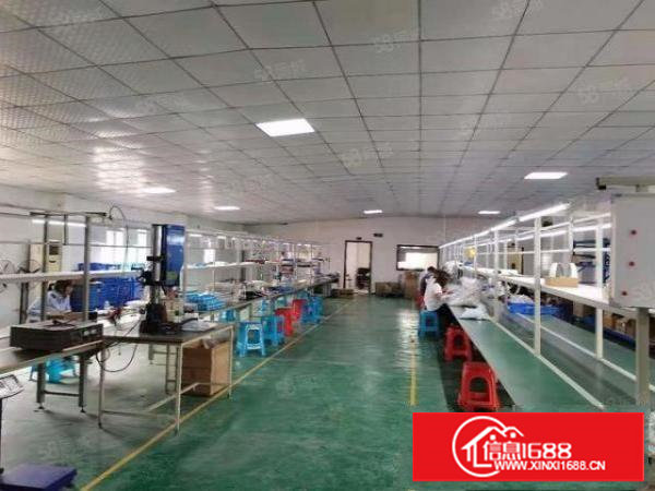 塘厦石鼓楼上450平全新装修现成水电豪华办公室适合各行小加工