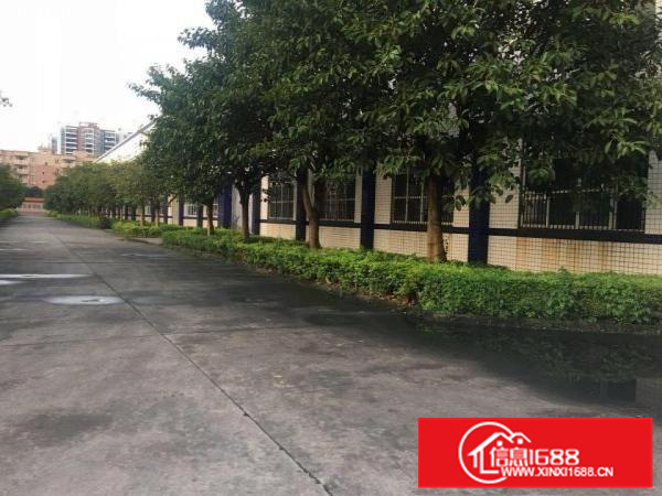 龙华镇上市公司砖墙到顶花园厂房32000平米