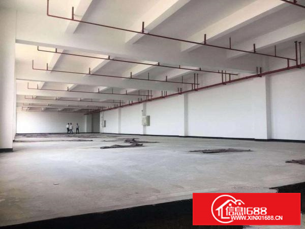 证件齐全容里厂房650方出租带有消防喷淋