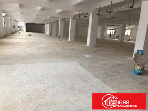 横岗西坑梧岗路边新出精装独院厂房2950平米招租