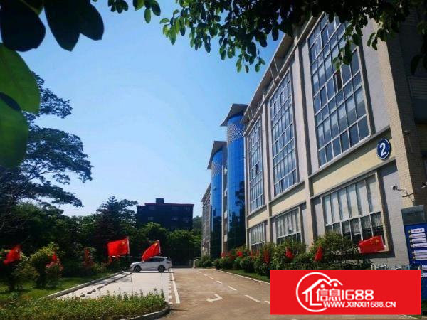 沿江高速房东直租全新厂房