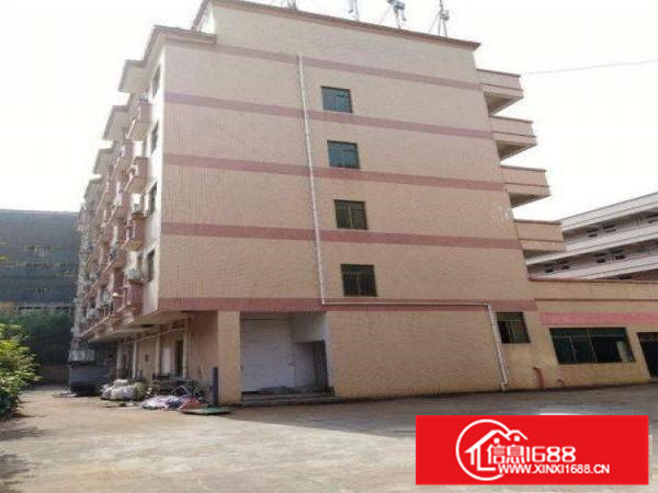 12元泰美独院三层约8800平方红本厂房办公招租（可分层租）