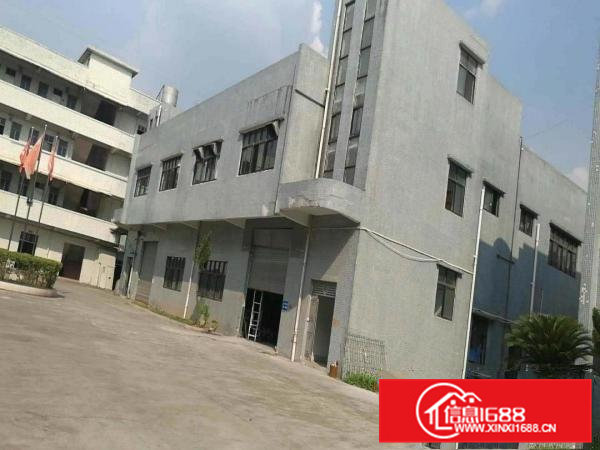 出租横沥独院厂房