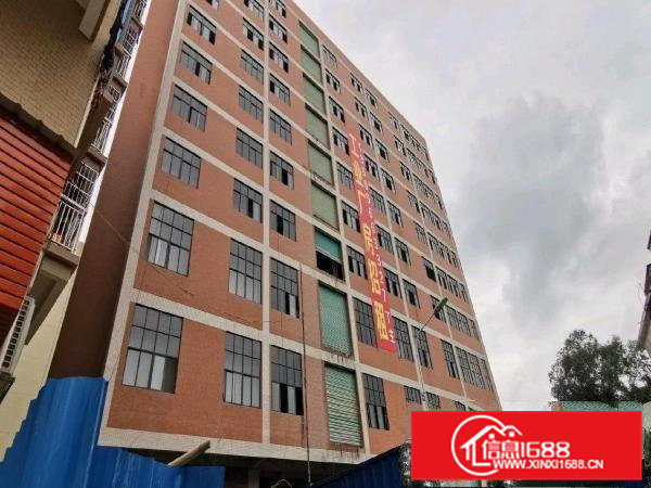 厂房出租仓库写字楼办公楼可分租出租