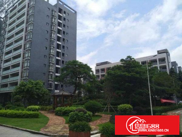 惠州市三栋镇新建10万平方标准厂房出租