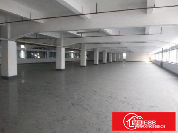 东坑镇新出6000平方厂房出租可分租