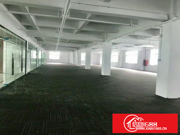 坂田杨美200~2000平，适合电商办公外贸仓库等