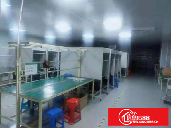 横沥镇原房东800平厂房