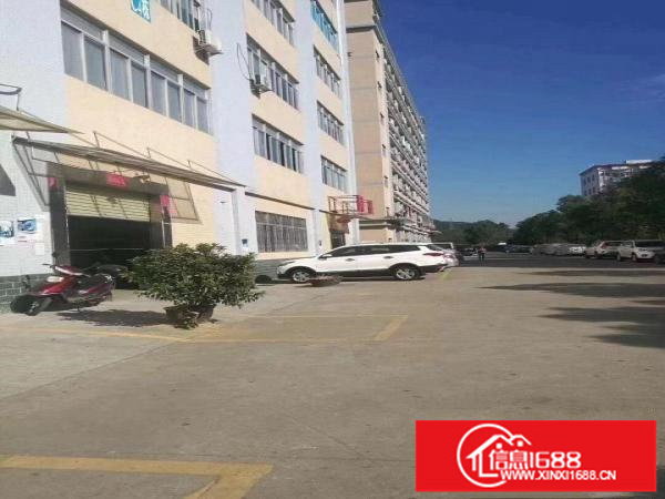 横岗六约全新装修620平工业厂房招租（有一部2吨货梯）