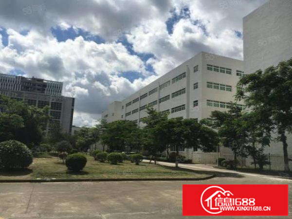 龙岗宝龙原房东直租31000平方独院厂房出租大小分租