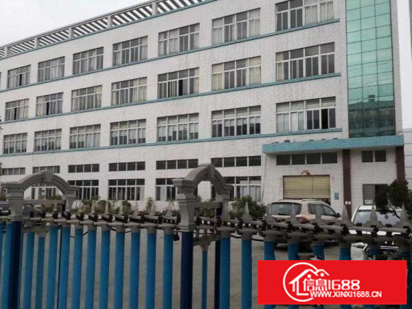 塘尾厂房650平出租，独立厂房整层面积，免转让