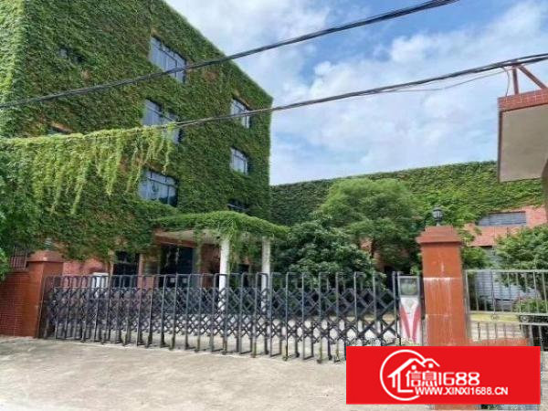 寮步厂房，单一层独院，可以分租，做成两个独院