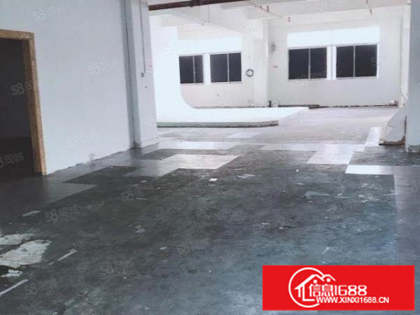 房东厂房450平电商贸易服装电子科技摄影网红仓库五金