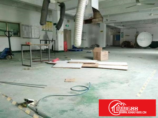 观澜梅观高速出口桂花新出楼上一整层1000平方带豪华装修