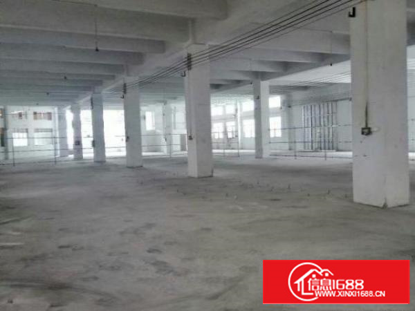 万江简沙洲原房东标准厂房一楼1000平方出租适合五金CNC加