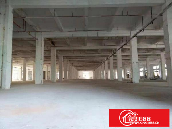 14500平方全新独院标准电梯厂房