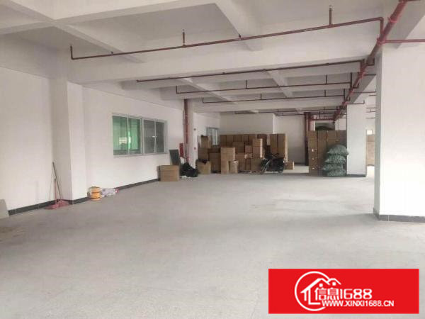 横江厦新出一700平厂房