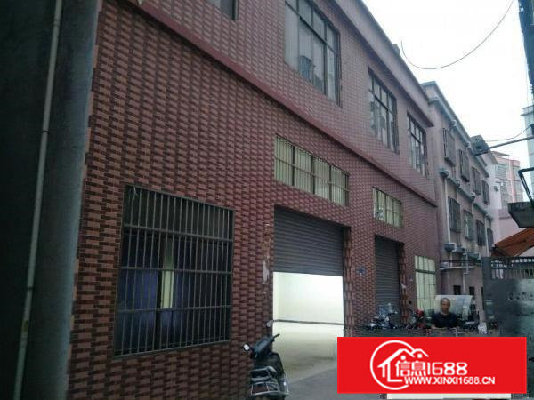 大岭山厚大路边原房东小独栋700平方便宜出租