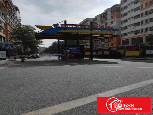 坂田黄金山带装修103平168平248平350平米