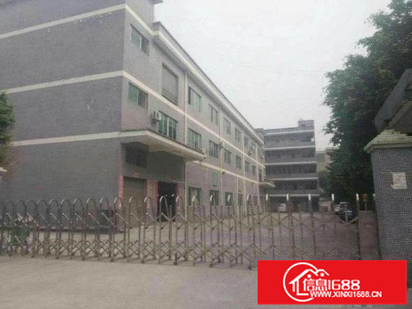 坪山新区坪山大道一楼300平方出租