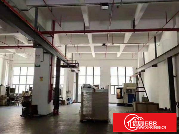 大宁工业区厂房招租一楼实际面积620平方带精装水电