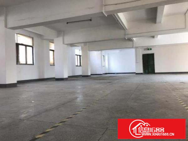 房东直租原眼镜厂530平可做仓库办公加工