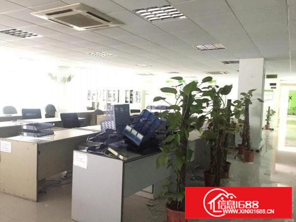 坪山大工业区1楼850平带精装办公室