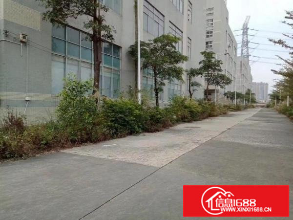 惠州明包厂房出租160000平有红本交通好可办租赁环评