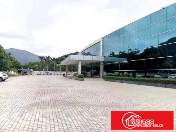 大朗巷头毛织市场独院2楼高4.8米无尘车间1100平厂房出租